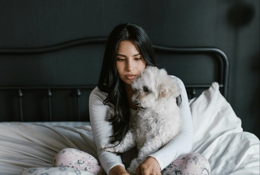 How to Calm an Anxious Dog at Night: Effective Strategies for Better Sleep - Welltayl