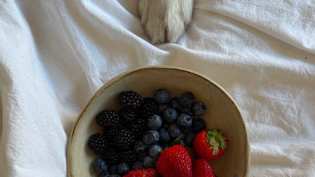 Berry Boost Lick Mat Recipe