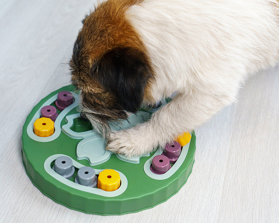 image-of-dog-playing-puzzle-game