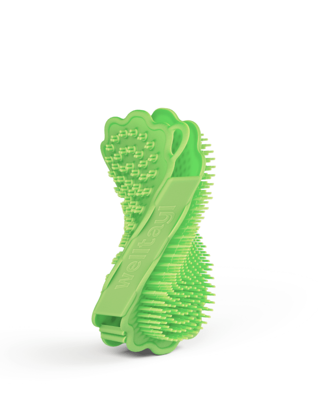 Bath Brush - Welltayl