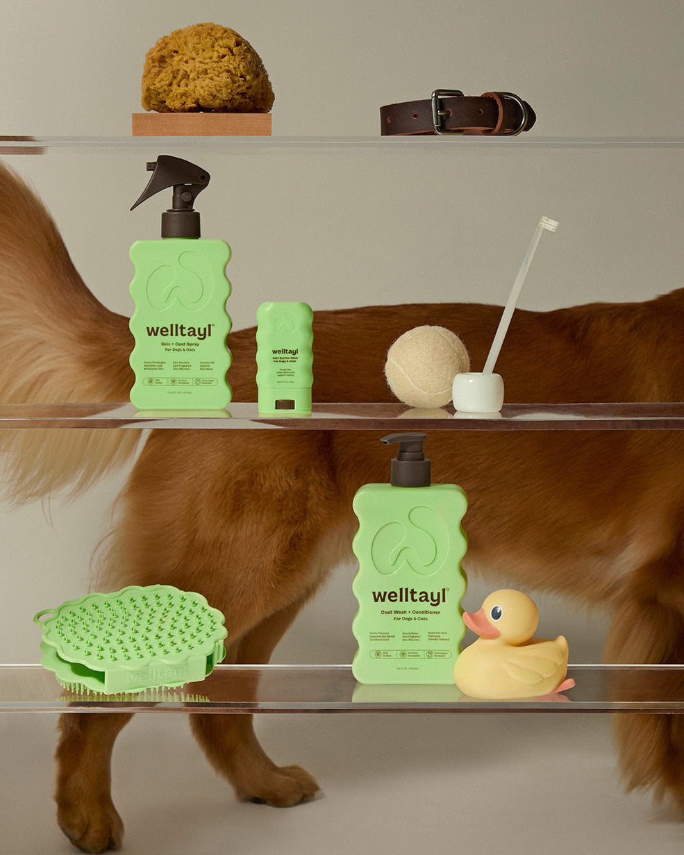 Dog grooming products including bottles, brush, and toys on glass shelves with a dog in the background.