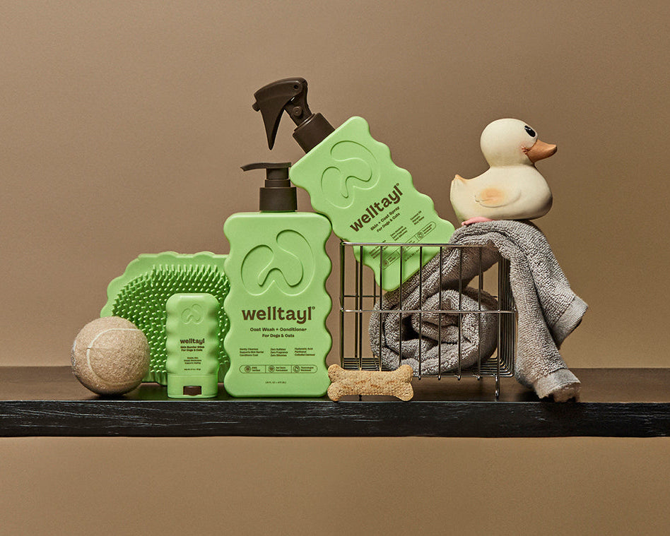 Dog grooming products including a spray bottle, shampoo, brush, and towel on a shelf with a neutral background.