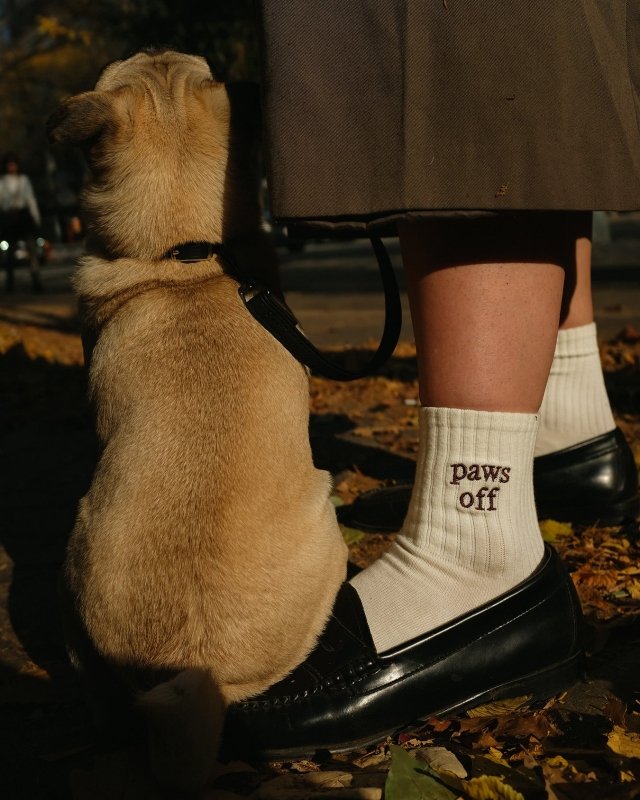 Paws Off Socks - Welltayl