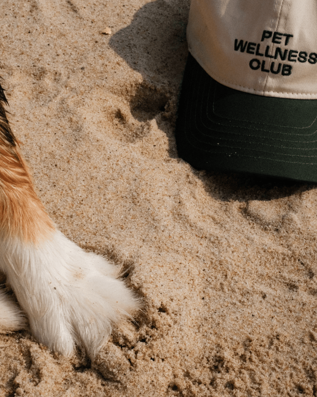 Pet Wellness Club Cap - Welltayl
