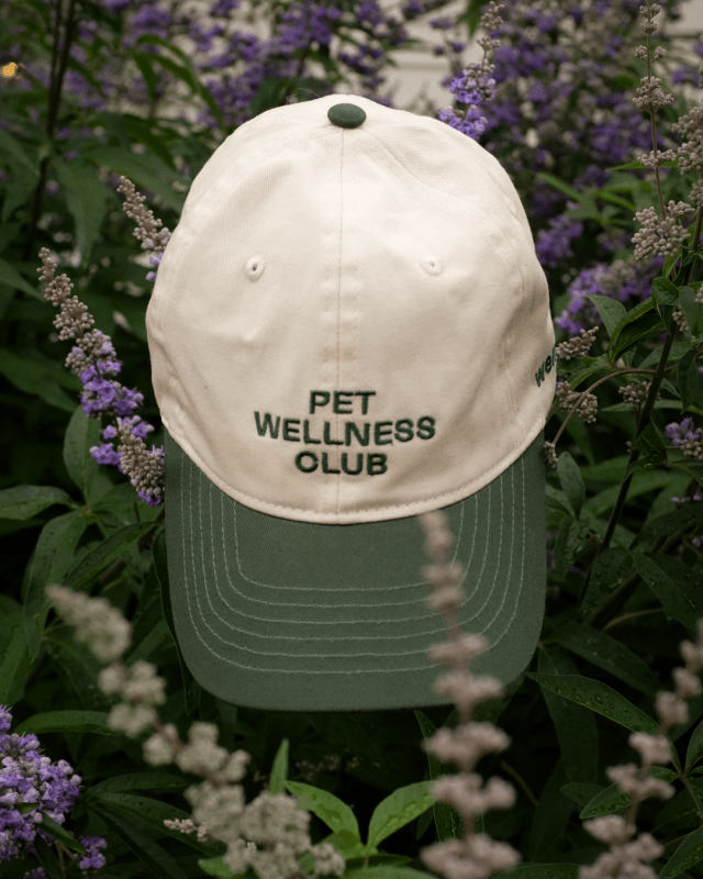 Pet Wellness Club Cap - Welltayl