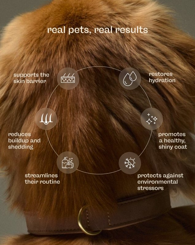 Skin + Coat Care Kit - Welltayl