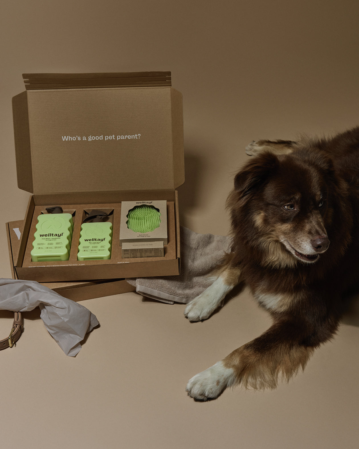 Skin + Coat Care Kit