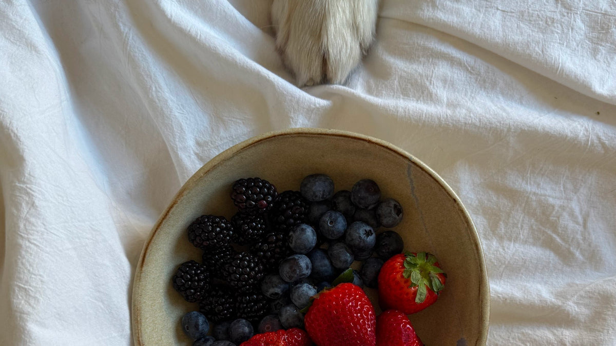 Berry Boost Lick Mat Recipe - Welltayl