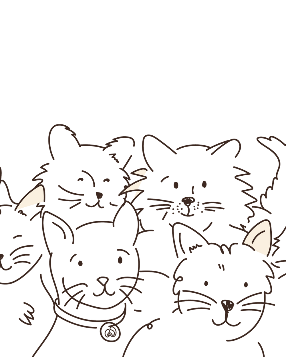 Dog Teeth Chart Guide to Canine Dental Health Welltayl