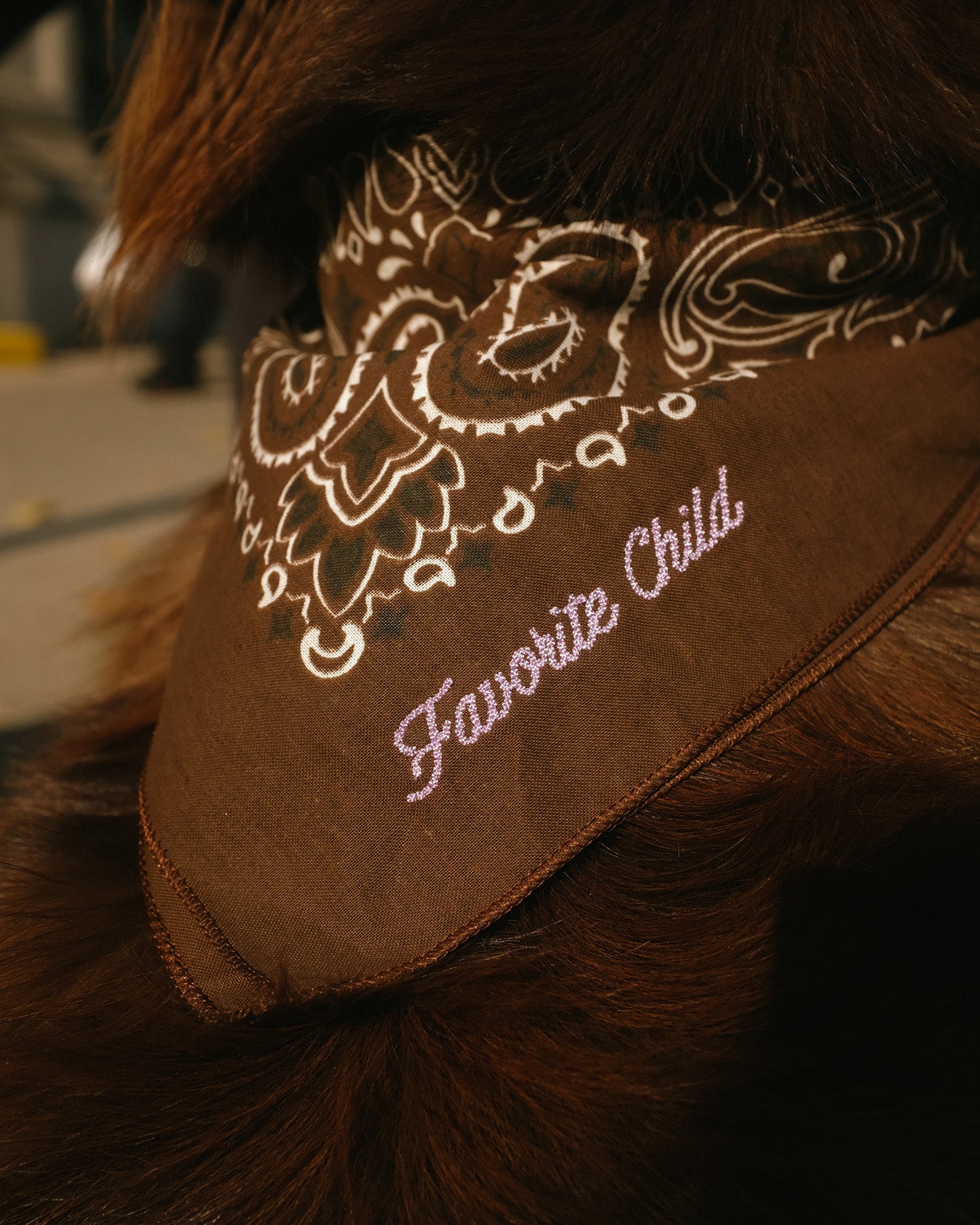 "Favorite Child" Pet Bandana