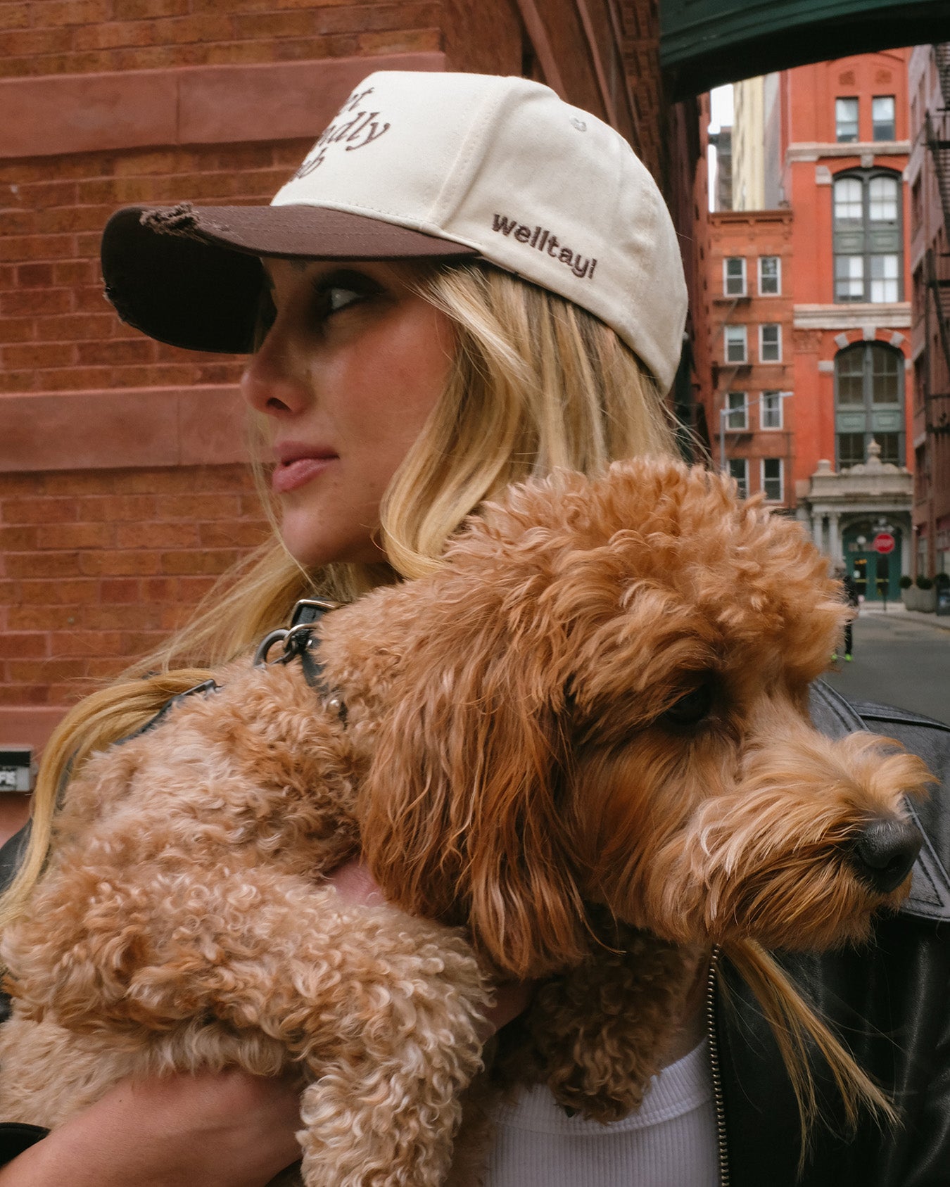 Olli's Distressed Hat | Limited Edition