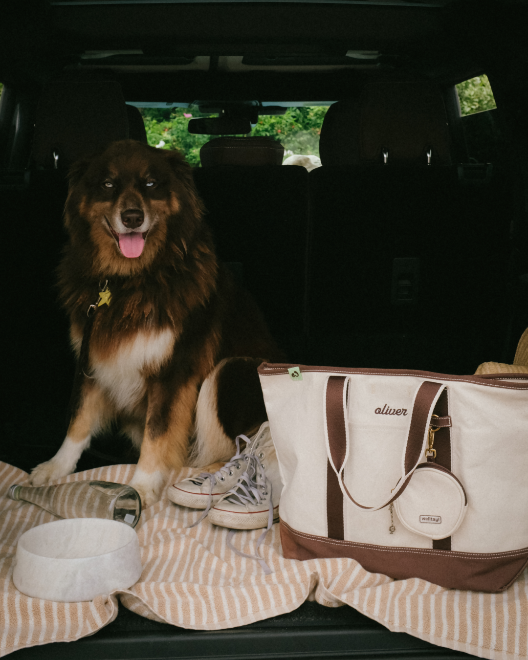 The Companion Tote