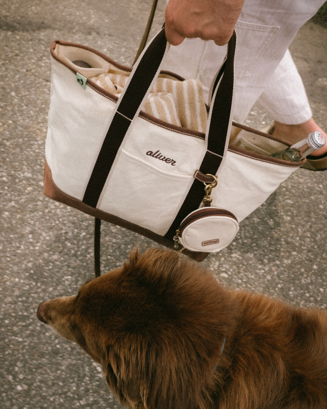 The Companion Tote