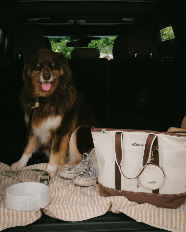 Companion Tote - Welltayl