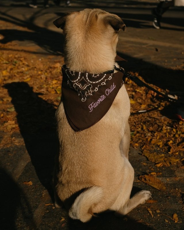 "Favorite Child" Pet Bandana - Welltayl