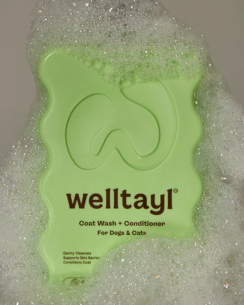 Green welltagl product with bubbles on a plain background