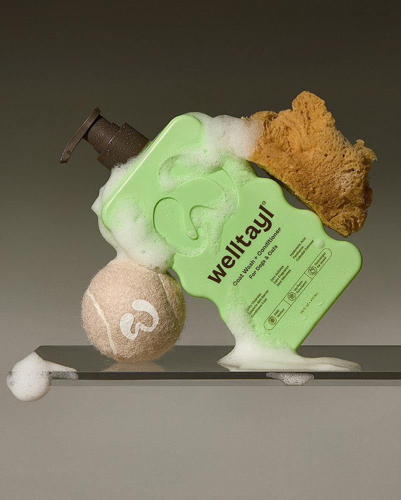Bath product, ball, and sponge on a shelf on a gray background