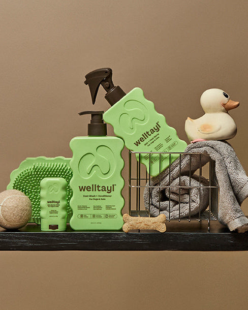 Dog grooming products including a spray bottle, brush, and towel on a shelf with a neutral background.