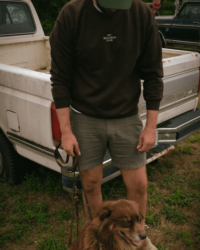 Pet Wellness Club Crewneck - Welltayl