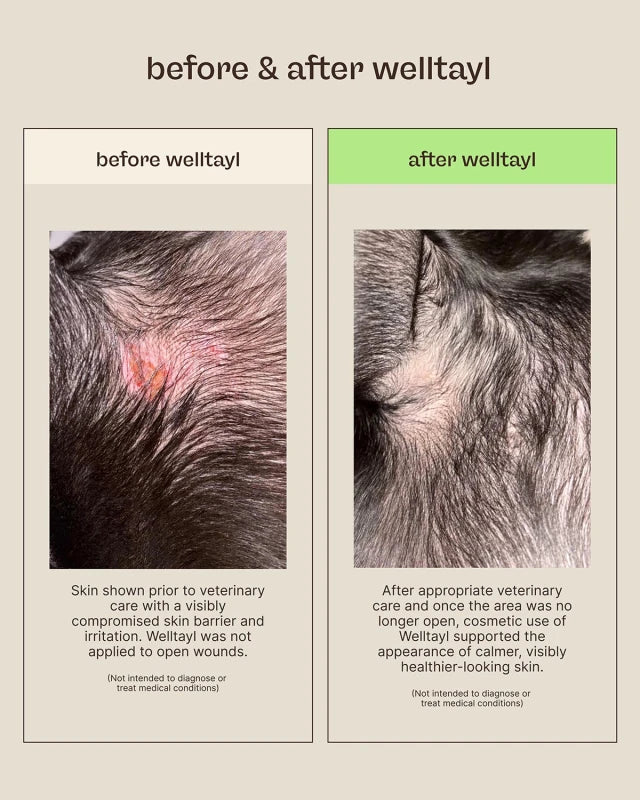 Skin + Coat Care Kit - Welltayl